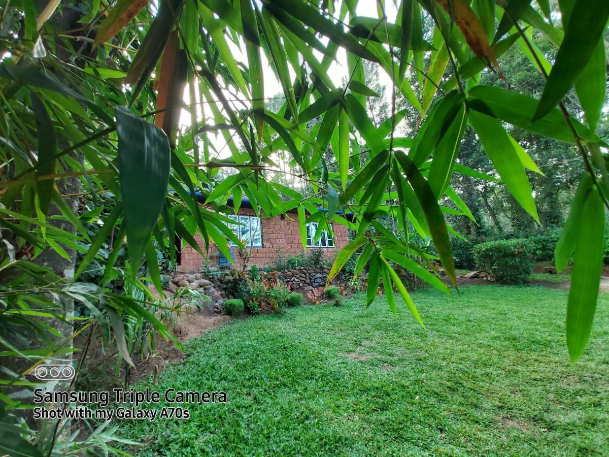 The Dream Apartamento Sanivarsante Exterior foto
